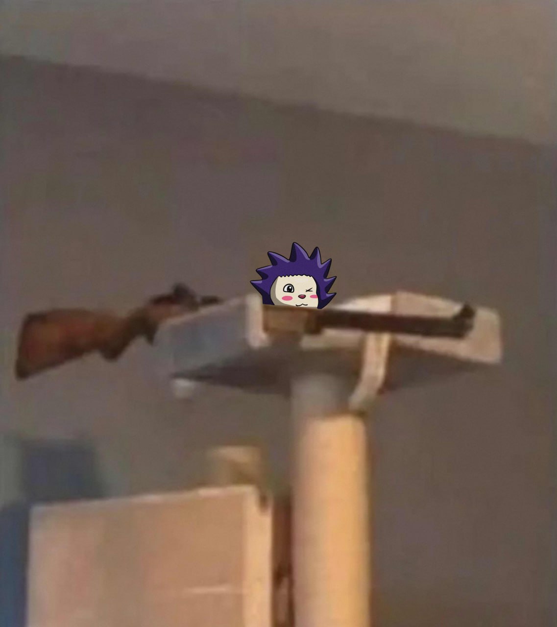 chog Meme 102