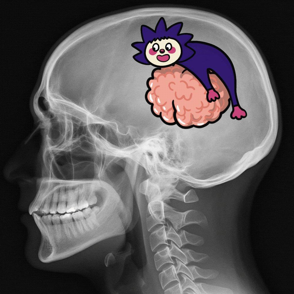 chog Meme 323